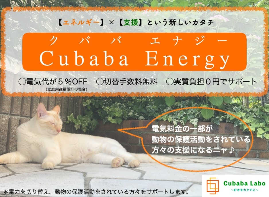 Cubaba Energy電力